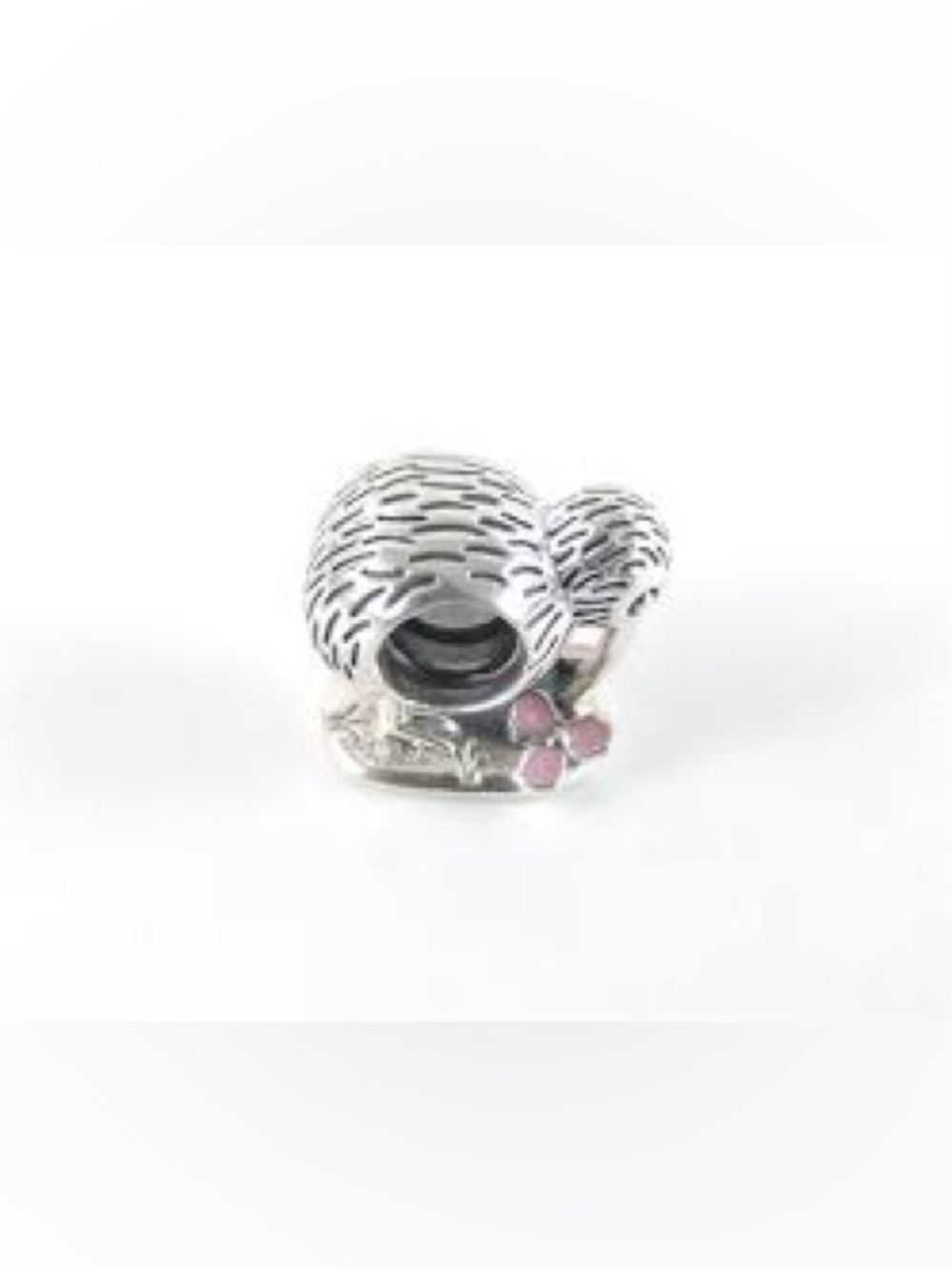 Pandora New Zealand Kiwi Bird & Flowers Charm